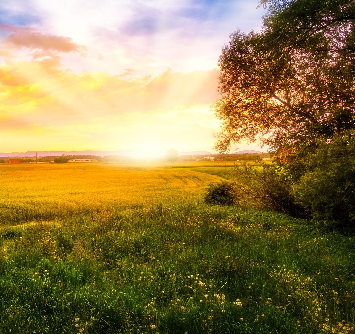 Nourishing Body Scrub Abundance Body Butter Bakery