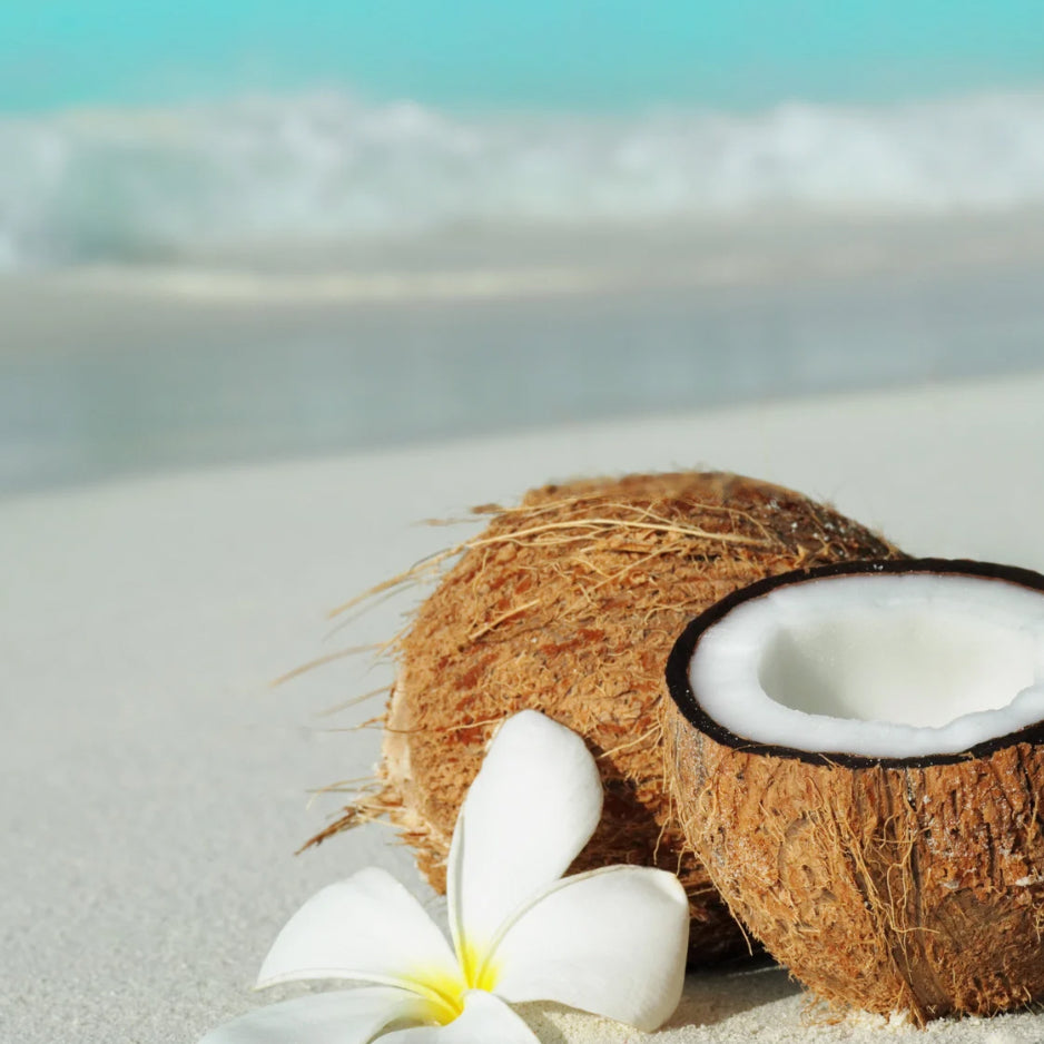 Nourishing Body Scrub - Exotic Coconut